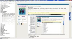 roe2.2.0.4 - RaGEZONE Ran Online Encyclopedia - RaGEZONE Forums