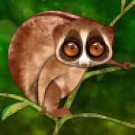 SlowLoris