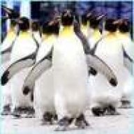 PenguinGuys