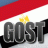 Elsayed x GosT