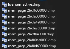 1785829311209 - DN PAK Dragon Nest Packer/Unpacker Python GUI Tool - RaGEZONE Forums
