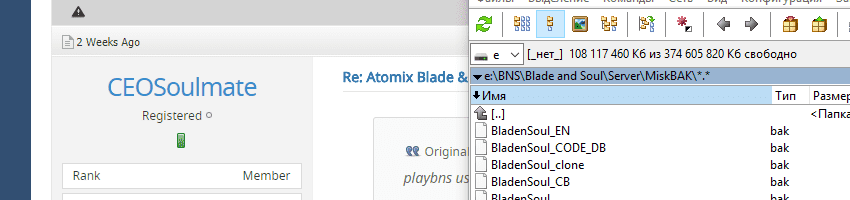 304ad31fd089faa8e21f70c7eeda5271 - Atomix Blade & Soul 2.0 Source - Japanese Version - RaGEZONE Forums