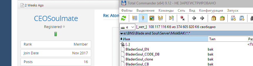 5e5f0d14ab1e619f5eb2d416b87d9705 - Atomix Blade & Soul 2.0 Source - Japanese Version - RaGEZONE Forums