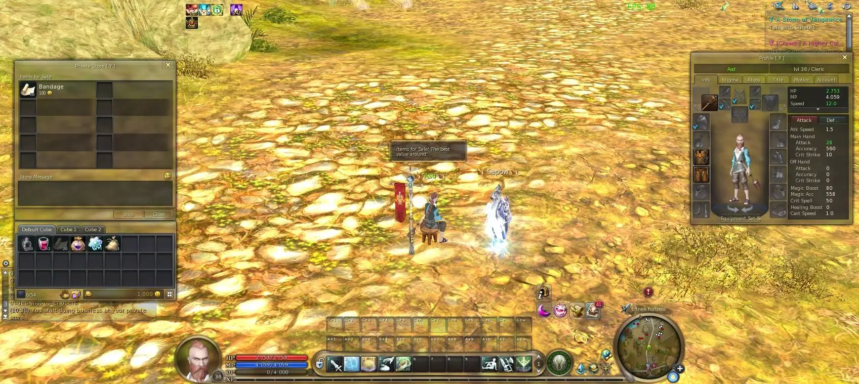 Aion 5.8 emulator improvement community project | Page 4 | RaGEZONE ...
