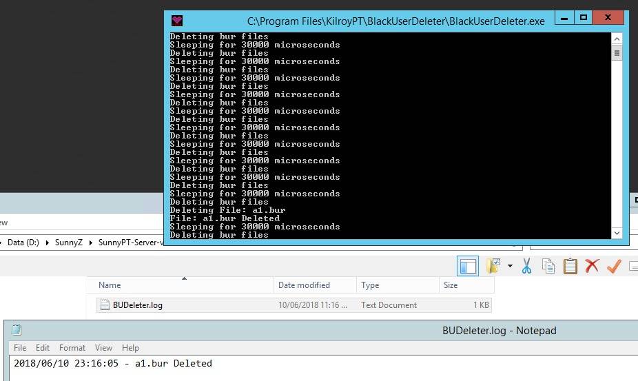b3CwYv - Blackuser deleting tool - RaGEZONE Forums
