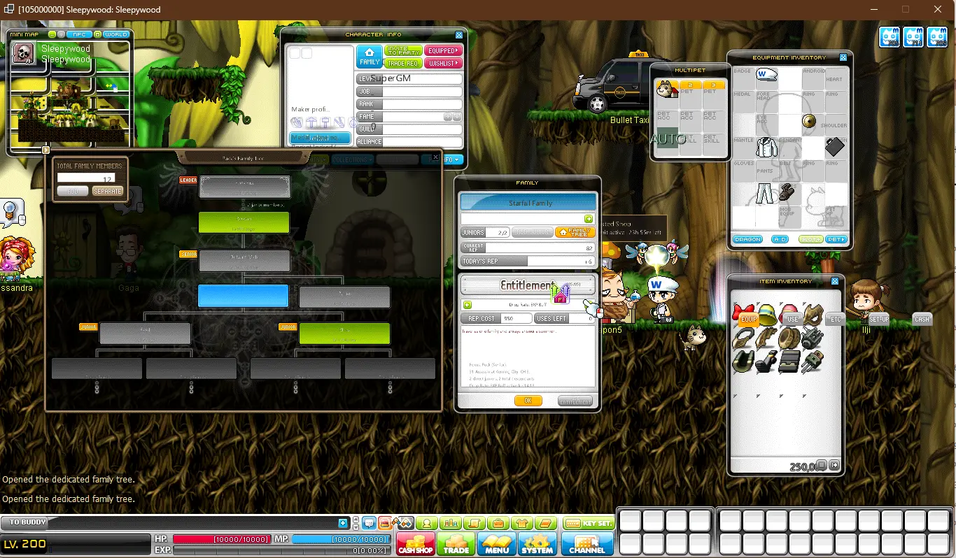 IMG_1386 - Custom v95 post-bb MapleStory client. - RaGEZONE Forums