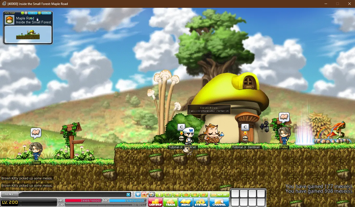 IMG_1394 - Custom v95 post-bb MapleStory client. - RaGEZONE Forums