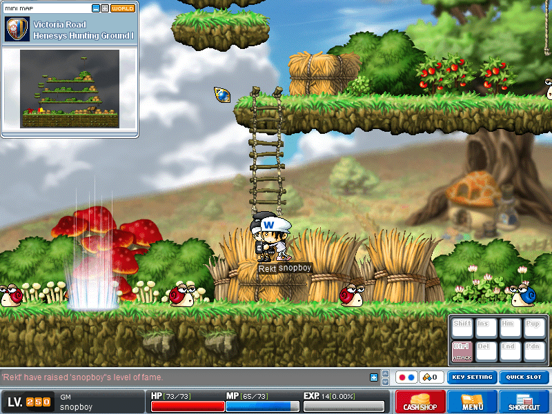 ParTmve - [MapleStory] [C#] MapleGlobal v0.01 - RaGEZONE Forums