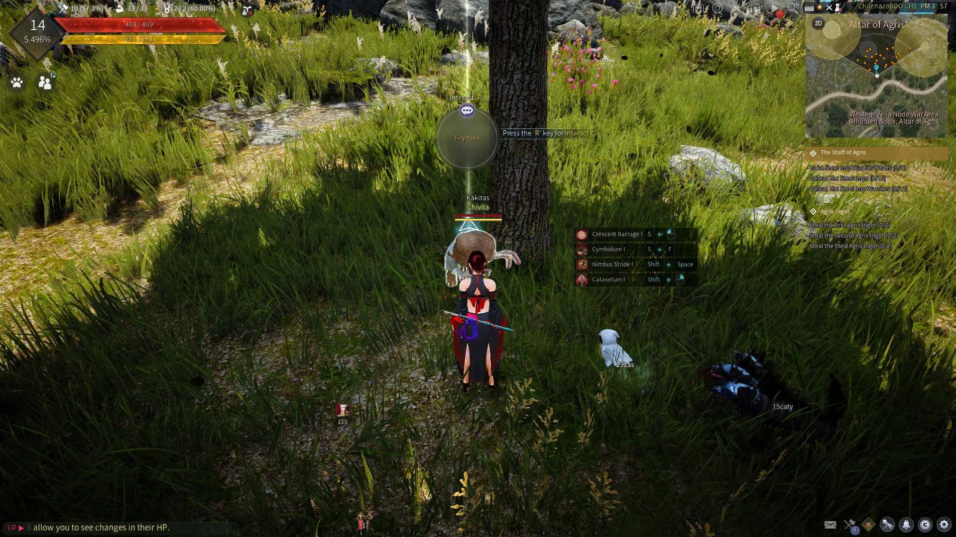 [HELP] NPC missing | RaGEZONE - MMO Development Forums