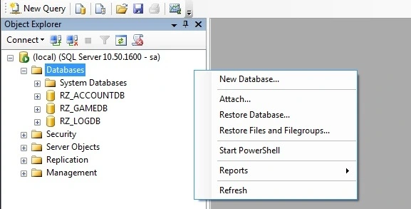 xPDjZ - [GUIDE] New Server Setup Guide +files - RaGEZONE Forums