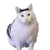 :hhuhh:
