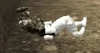 bugskin - [HELP] BugSkin When Dies - RaGEZONE Forums