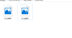 Captura.PNG - [Solved] Screenshot File Name - RaGEZONE Forums