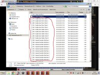 1 - [Release] MU Server Season 5.5 Full (PerfectZone Server Files) (Beta) - RaGEZONE Forums