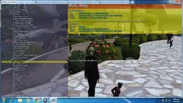 STO Debug Menu.jpg STO Debug Menu.jpg