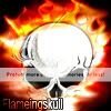 flameingskull - [Request]Avatar please? - RaGEZONE Forums