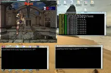 1 - Rakion Server Files + Client Work - RaGEZONE Forums