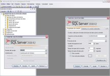 SQL Server 2008 R2 conectar servidor.JPG - [Guide] for ep 3.3 - RaGEZONE Forums
