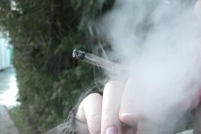 smokingmarijuanaweed - Regarding personal slander of MentaL - RaGEZONE Forums