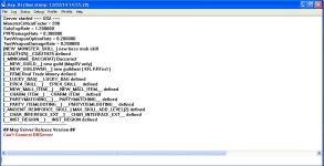 bug.JPG - Rohan Online lv115 Hero Skill  Server File + DB + Client - RaGEZONE Forums