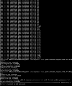 serverstart.PNG - [Tutorial] Compiling Java emulator by Angelis86 - RaGEZONE Forums
