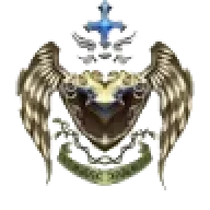 dnmaker29