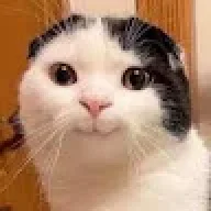 tobil