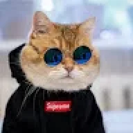 nongvannguyen