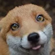 paulfox