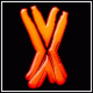 Xoleum