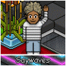 Saywaves