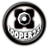 looper231