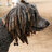mavdog
